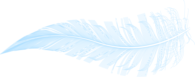 Graphic illustration of a feather